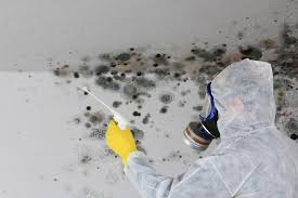 Best Mold Remediation for Healthcare Facilities  in Owings, MD